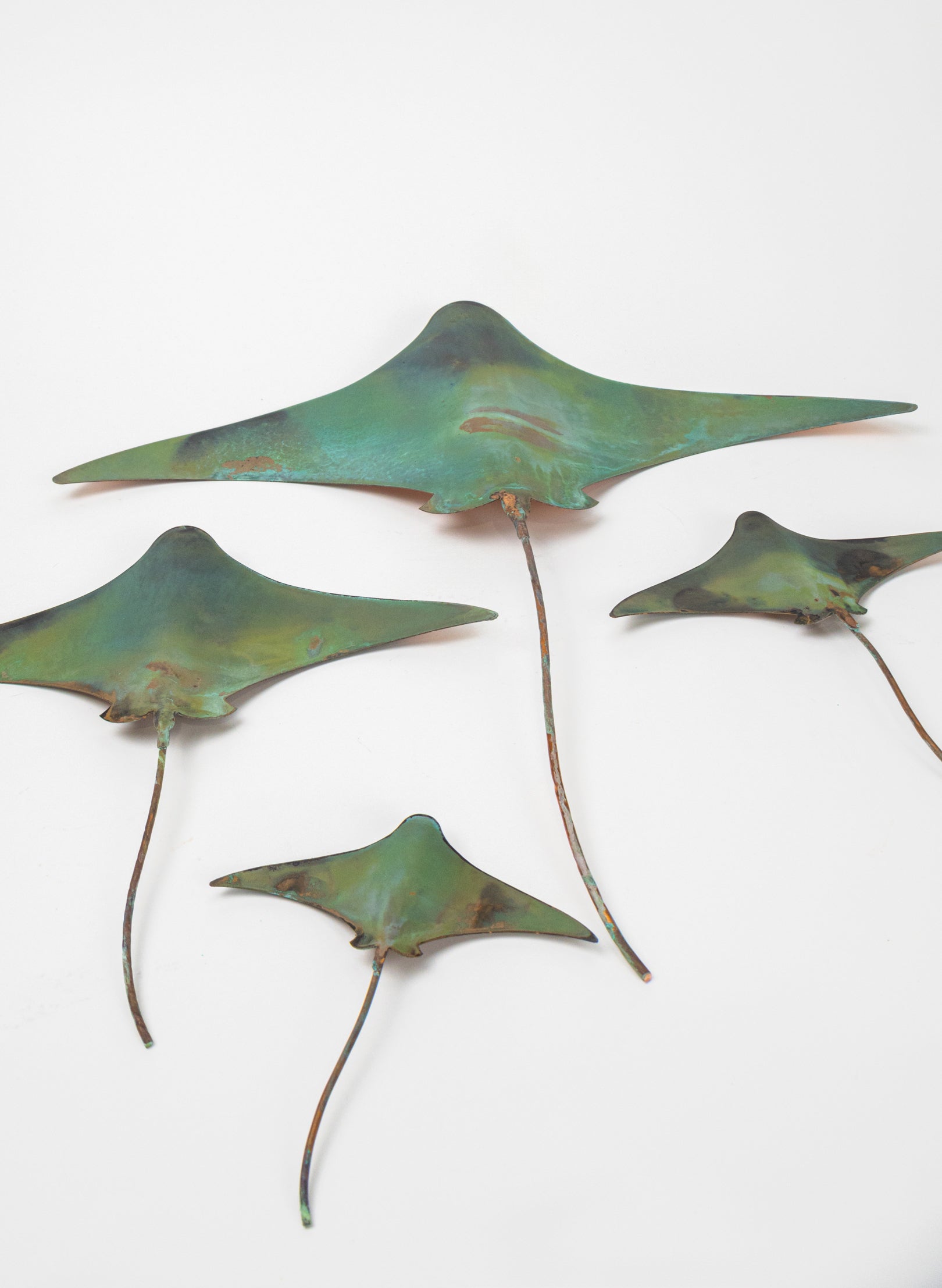 Stingray - Set of 4 