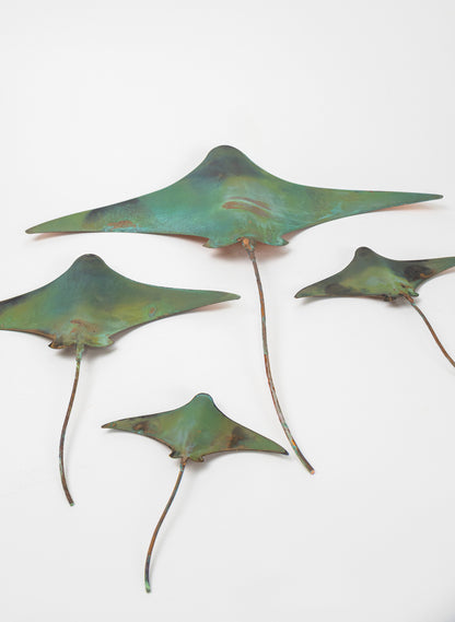 Stingray - Set of 4 