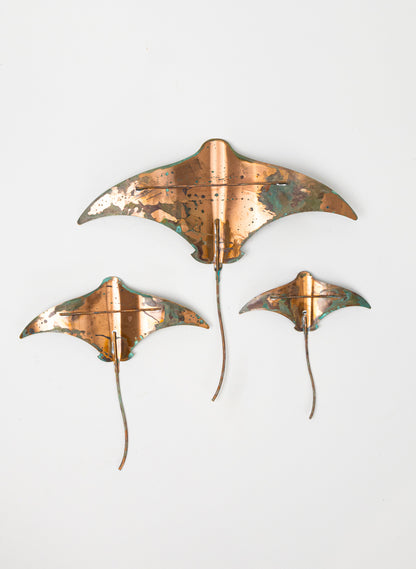 Stingray - Set of 3 