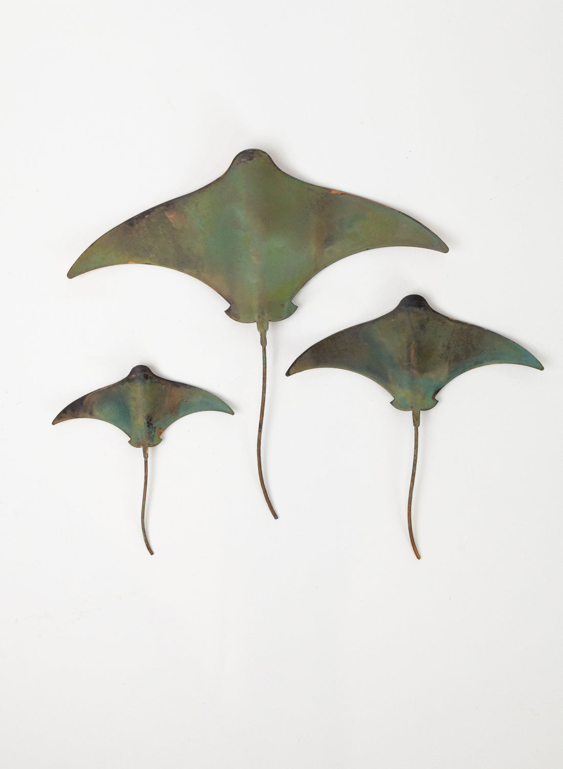 Stingray - Set of 3 