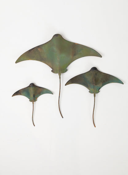 Stingray - Set of 3 