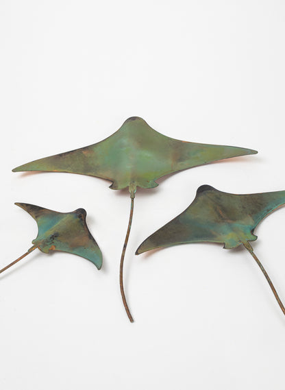 Stingray - Set of 3 