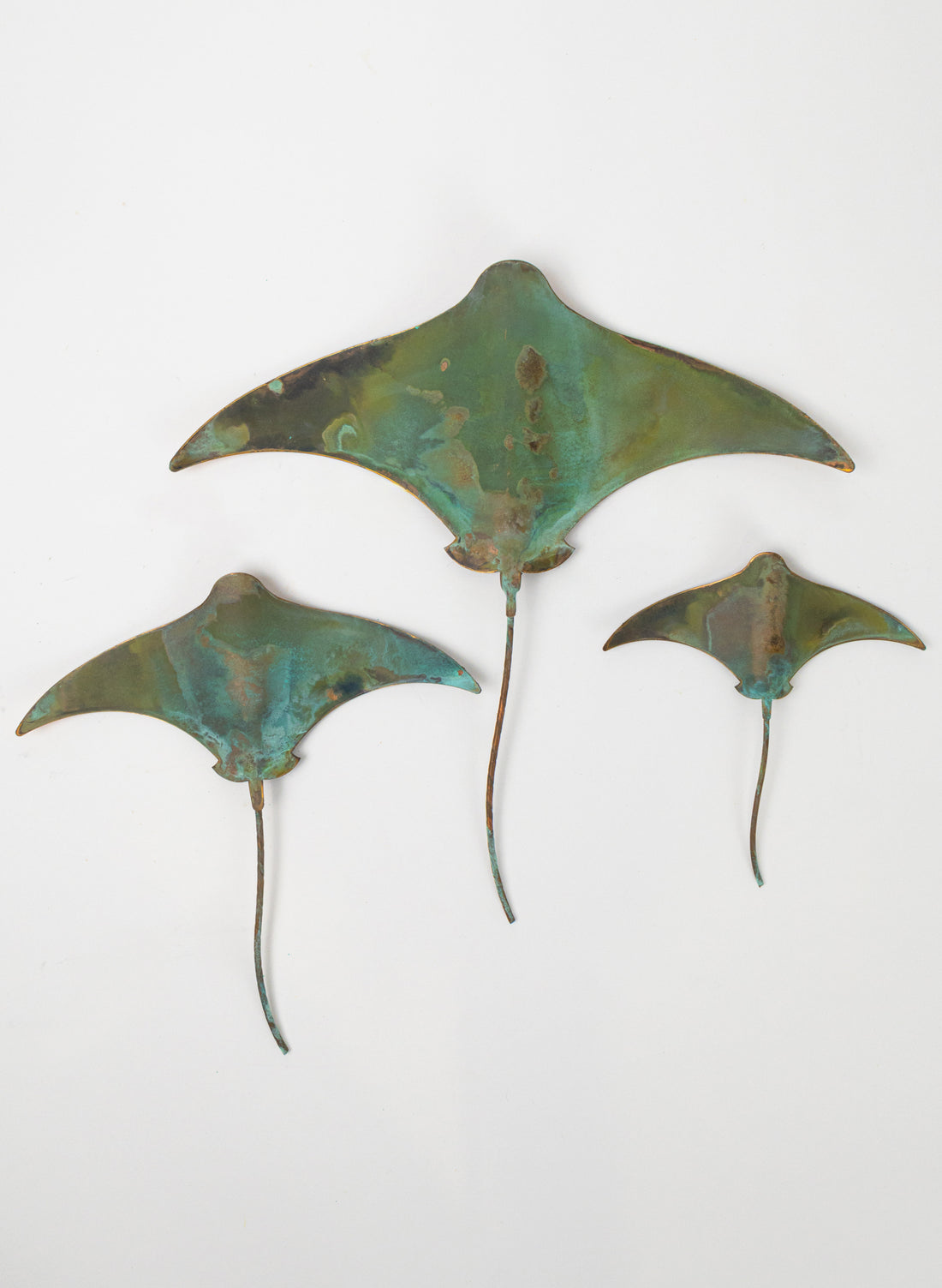 Stingray - Set of 3 