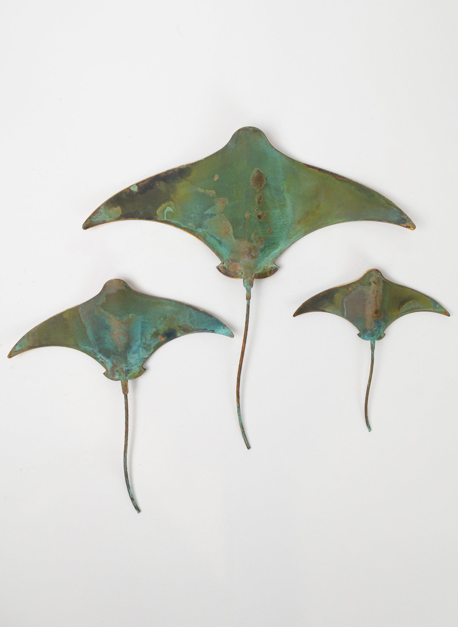 Stingray - Set of 3 
