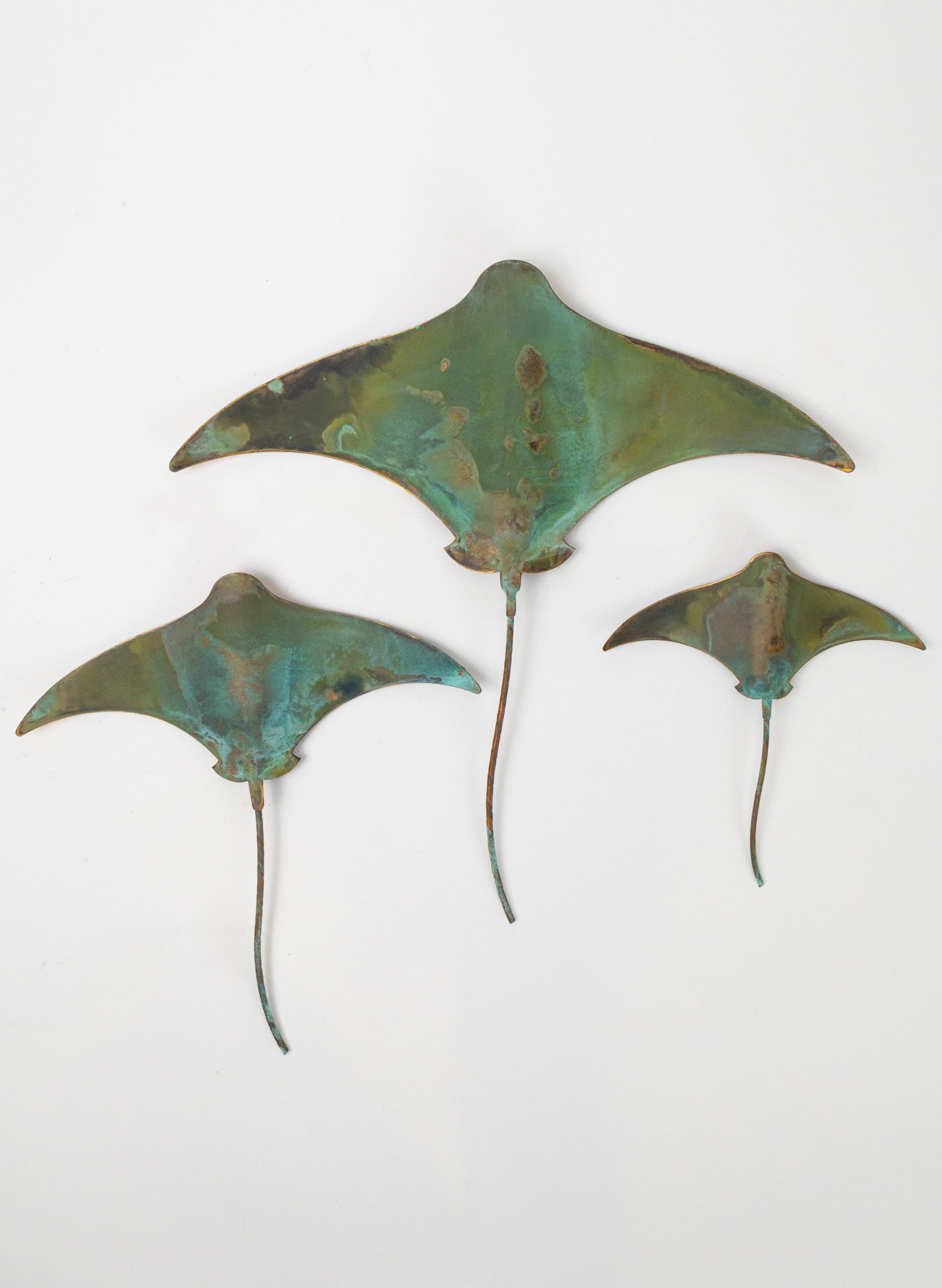 Stingray - Set of 3 