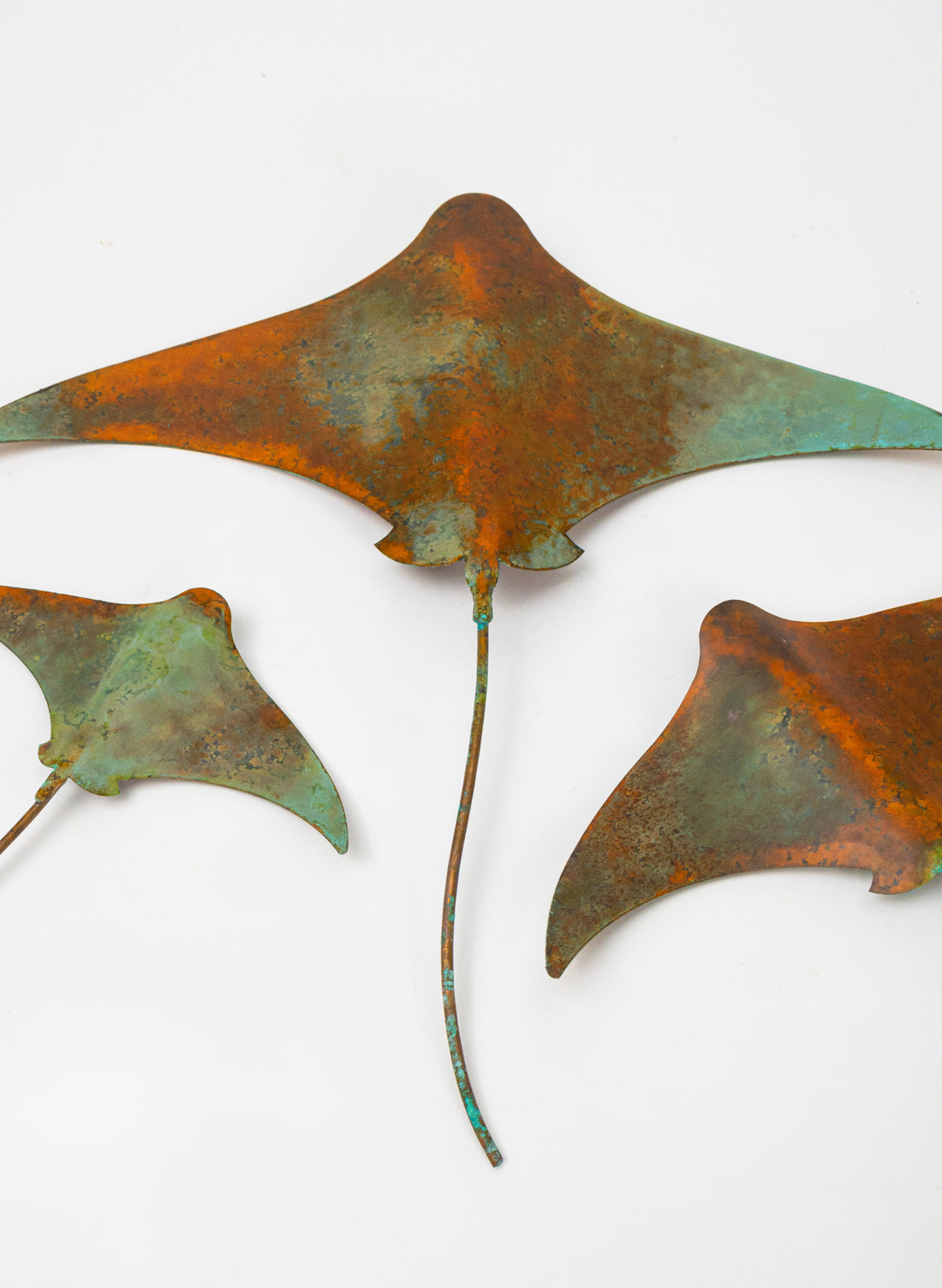 Stingray - Set of 3 