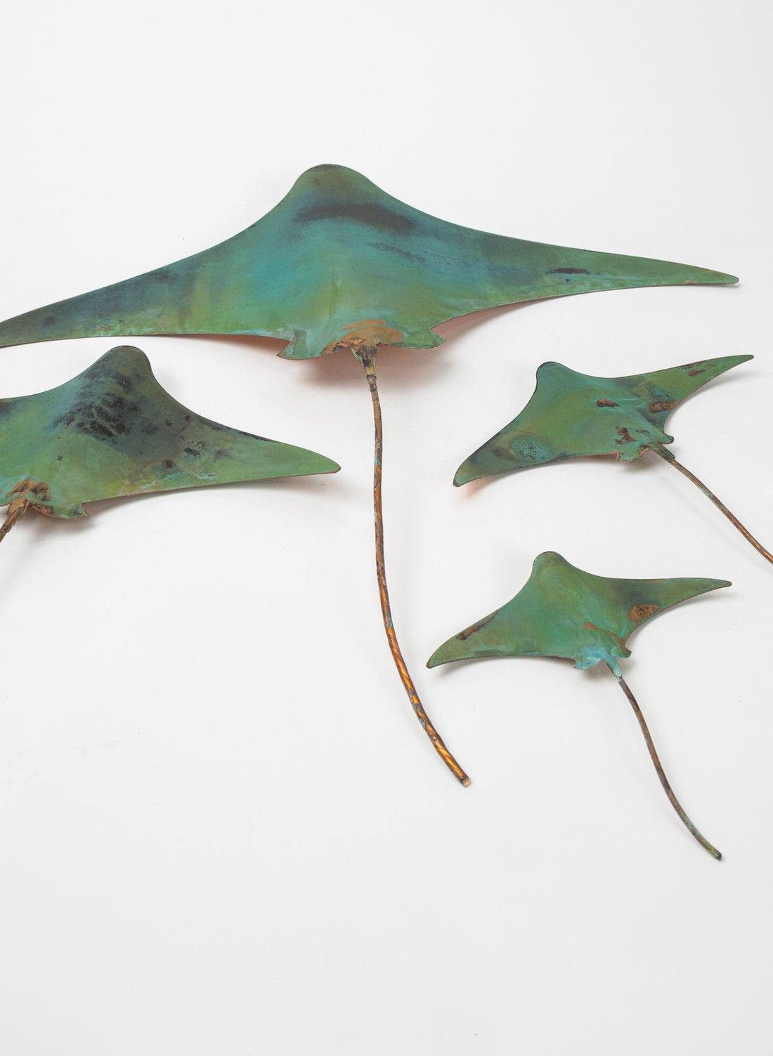 Stingray - Set of 4 