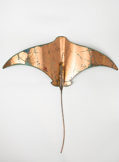 Pacific Stingray - XXLarge
