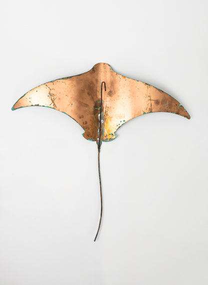 Pacific Stingray - XLarge