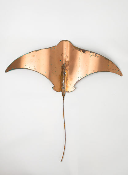 Stingray - XXL