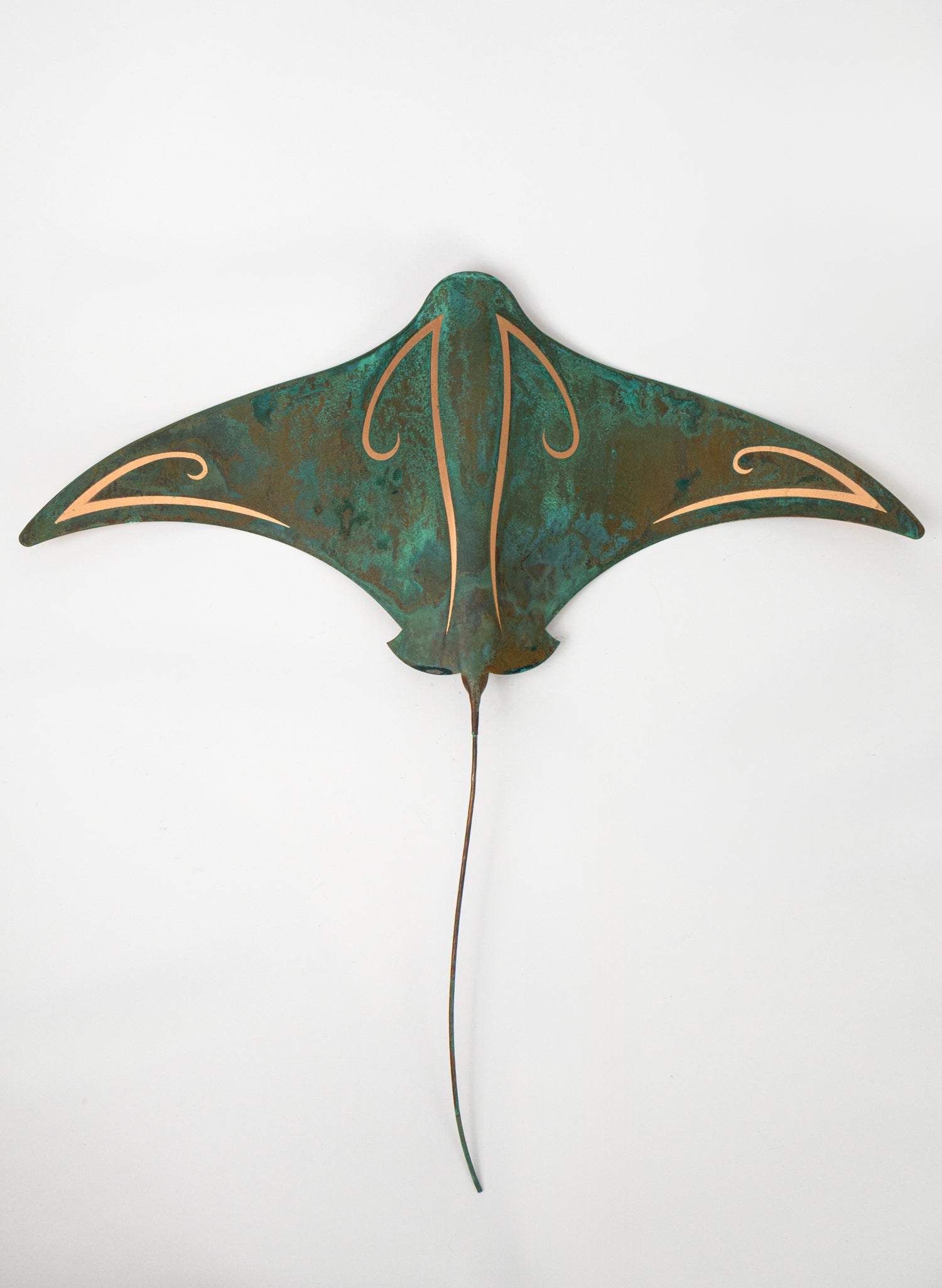 Pacific Stingray - XXLarge