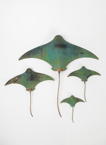 Stingray - Set of 4 