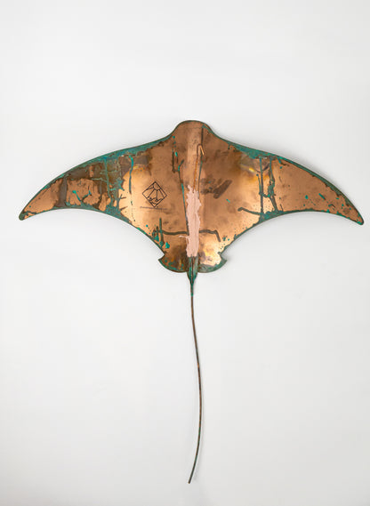 Pacific Stingray - XXLarge