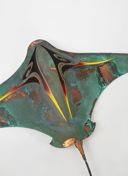 Pacific Stingray - XLarge