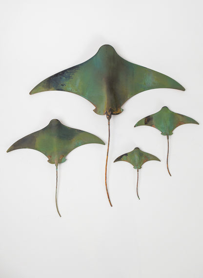 Stingray - Set of 4 