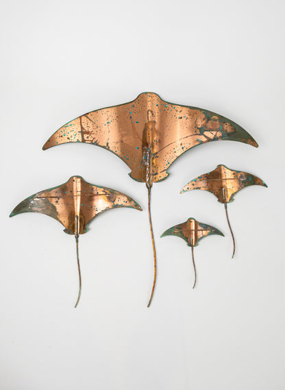 Stingray - Set of 4 