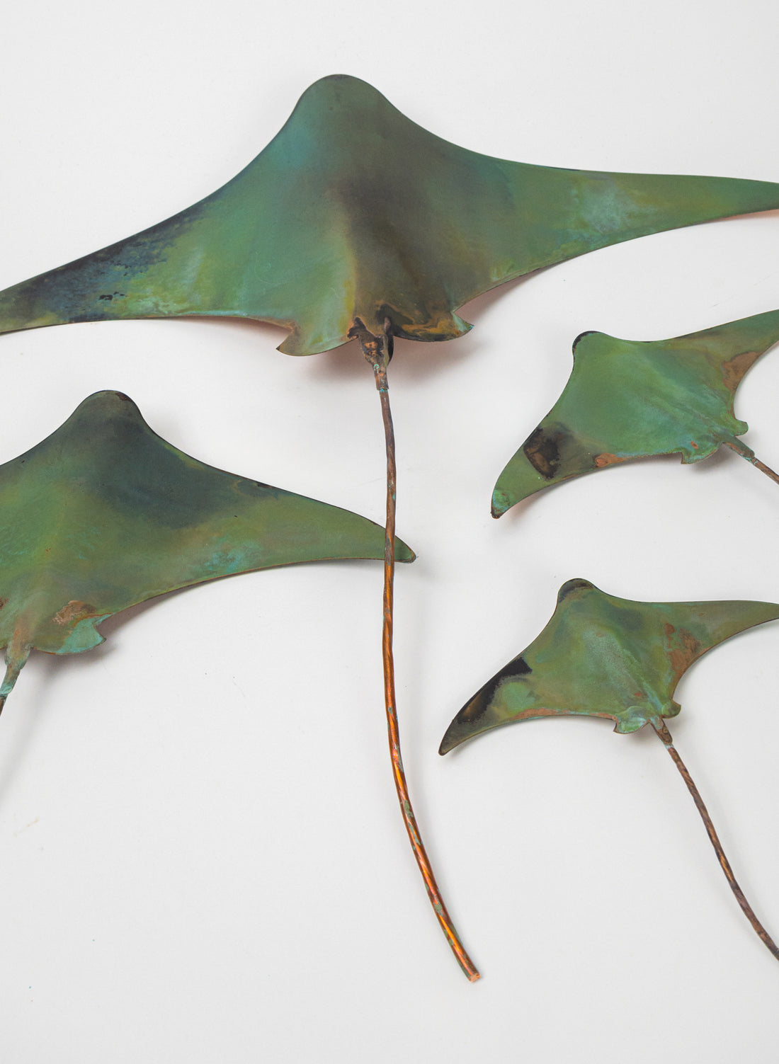 Stingray - Set of 4 