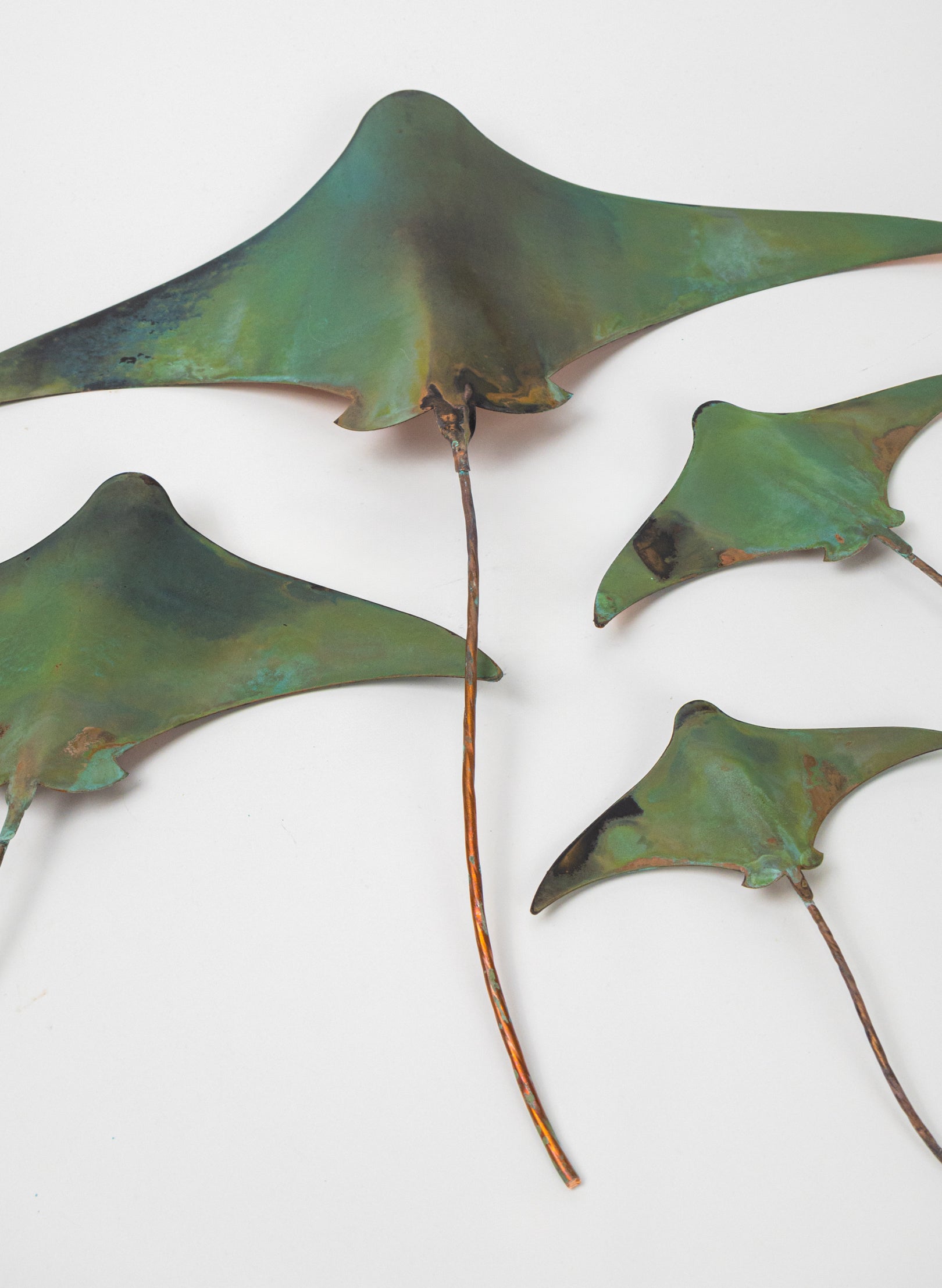 Stingray - Set of 4 