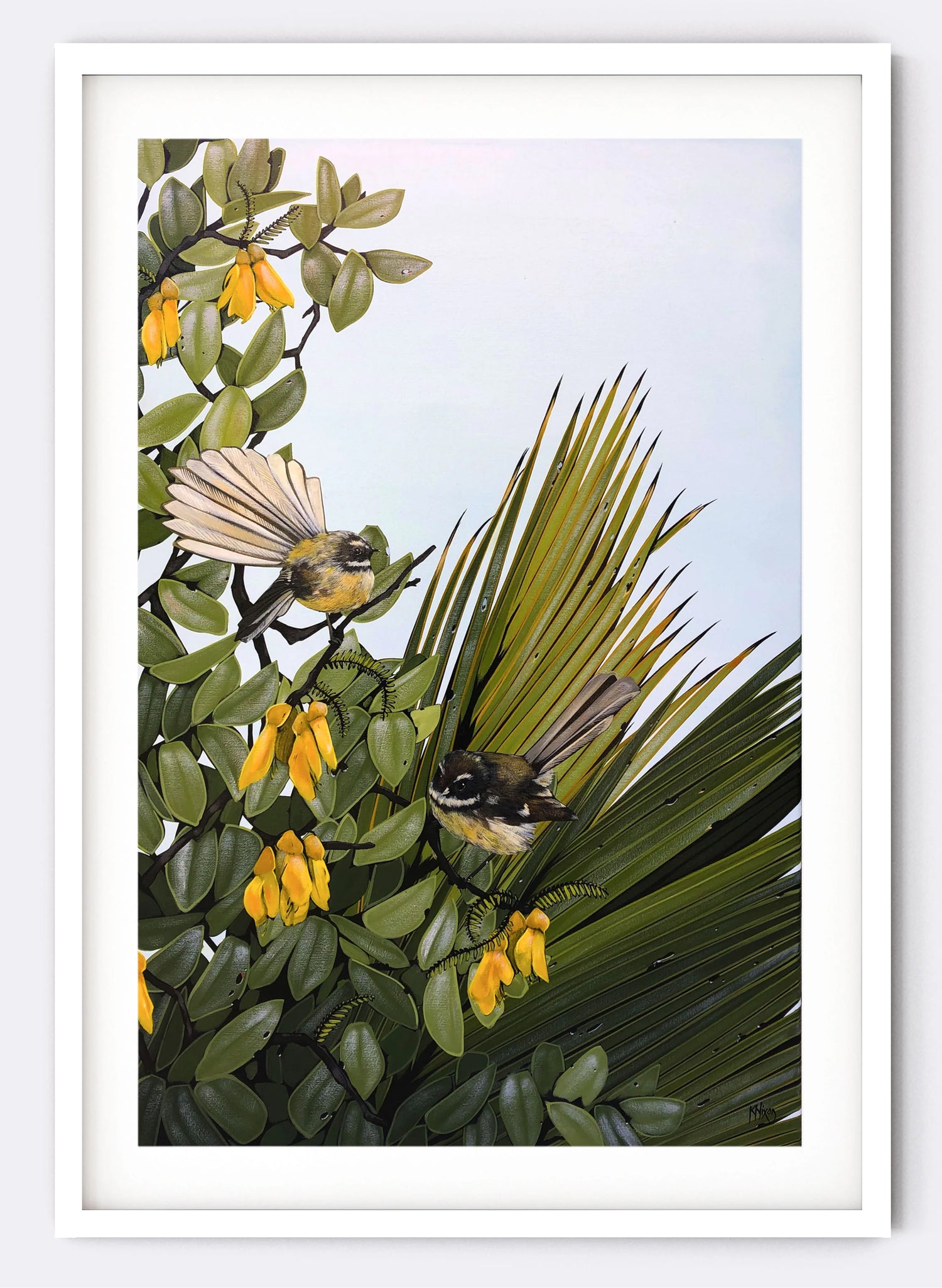 Fantail No.1 - Giclée Print