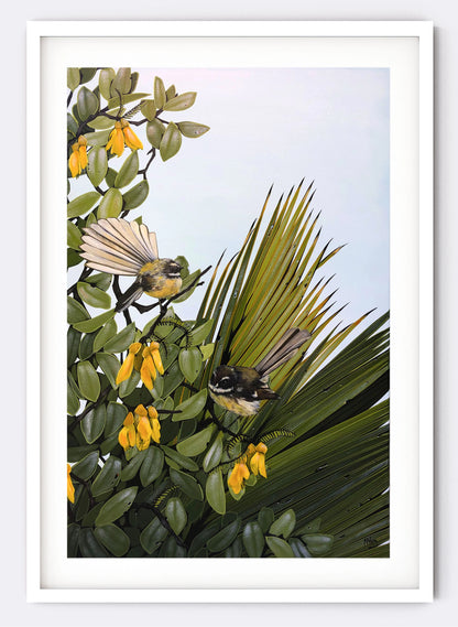 Fantail No.1 - Giclée Print