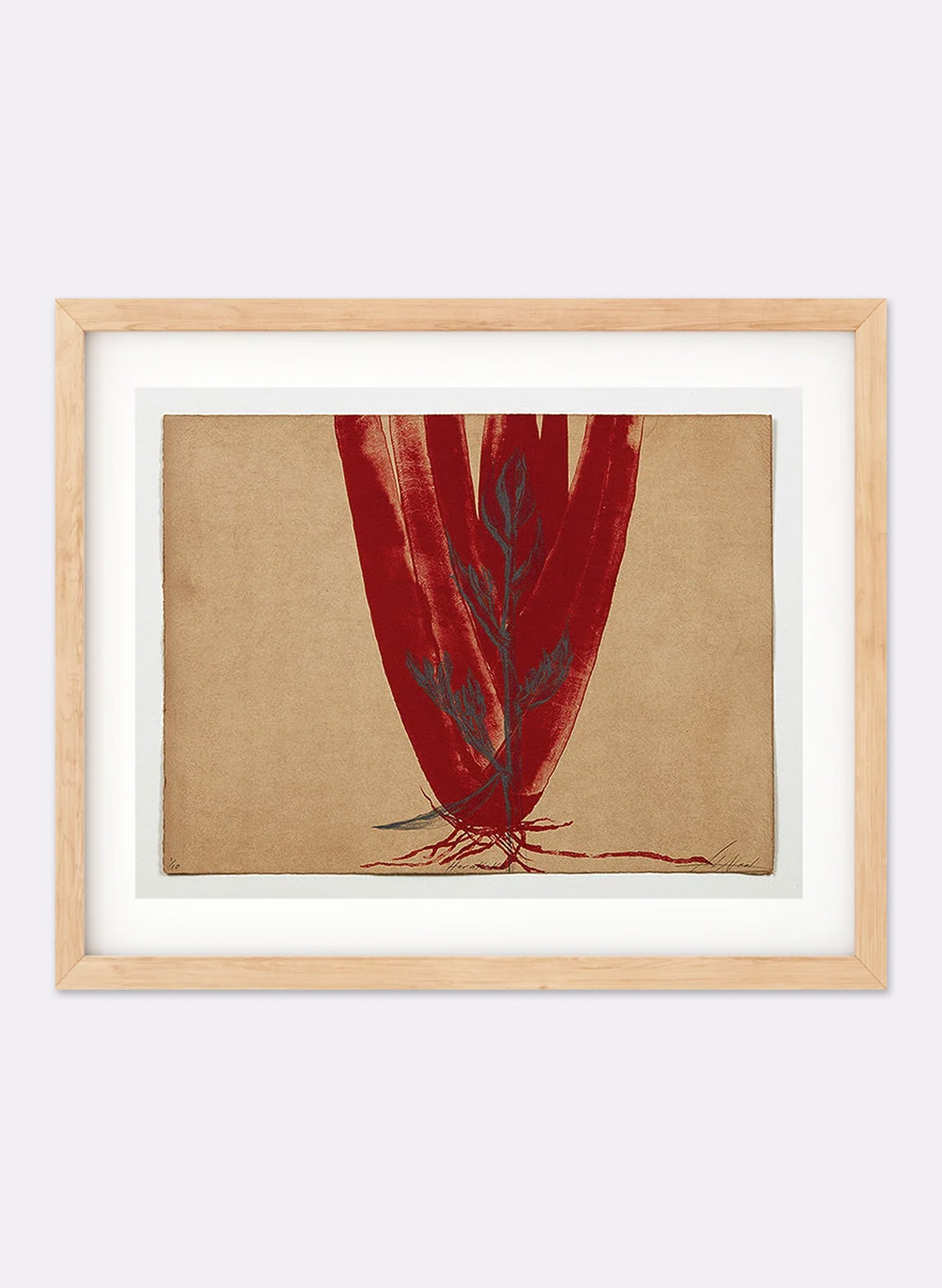 Harakeke // New Zealand Flax