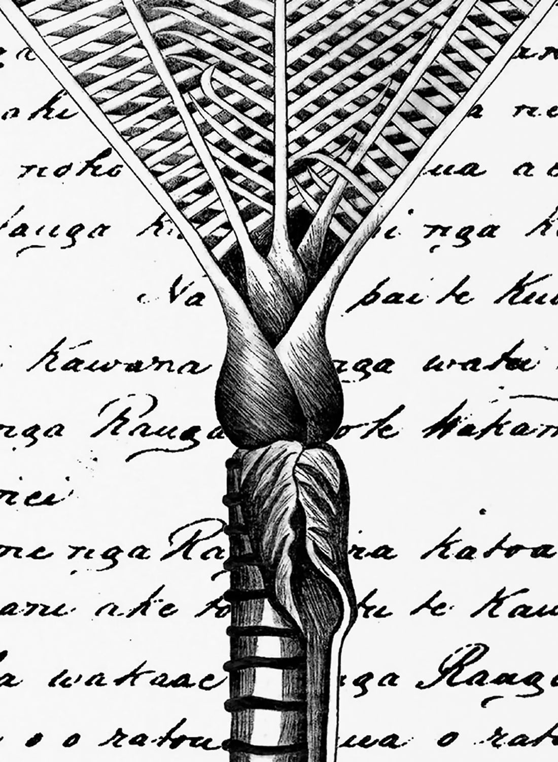 Honour - Giclée Print