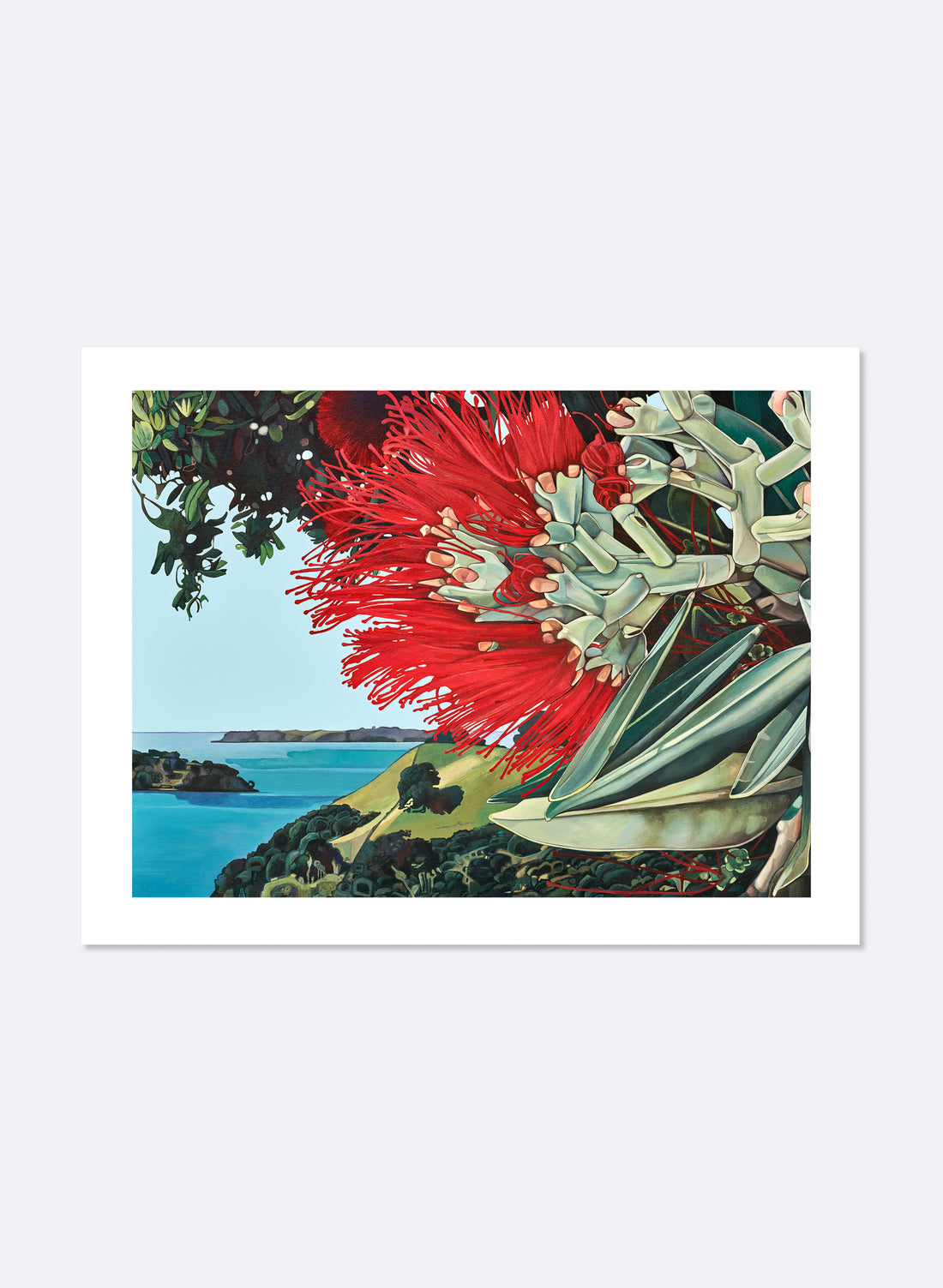 Mahurangi West - Giclée Print