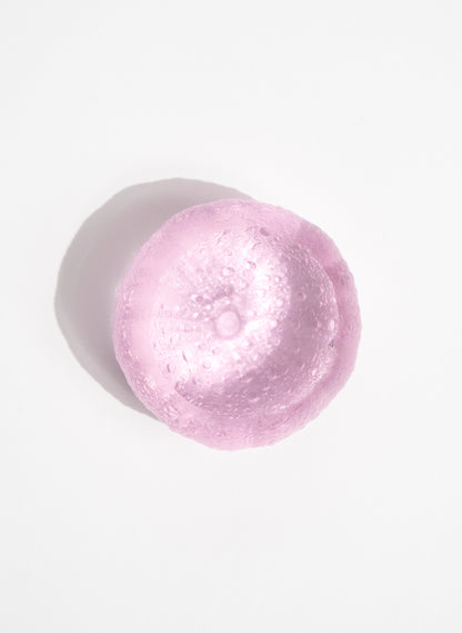 Large Sea Urchin - Pink