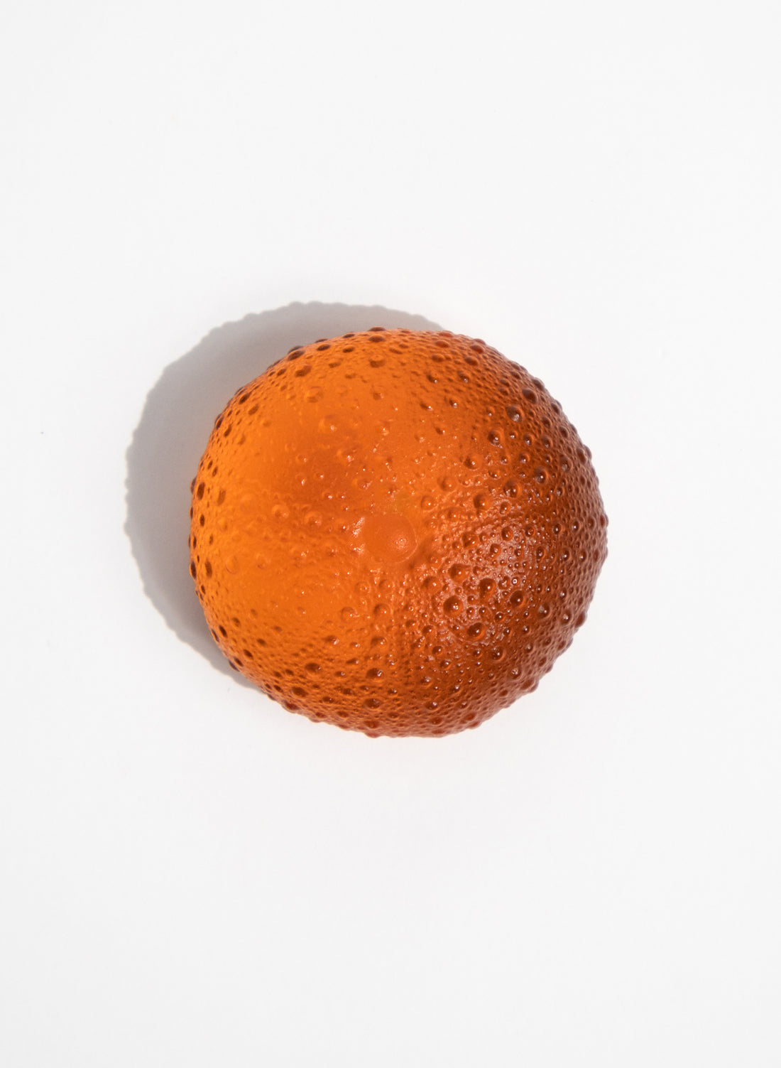 Large Sea Urchin - Orange