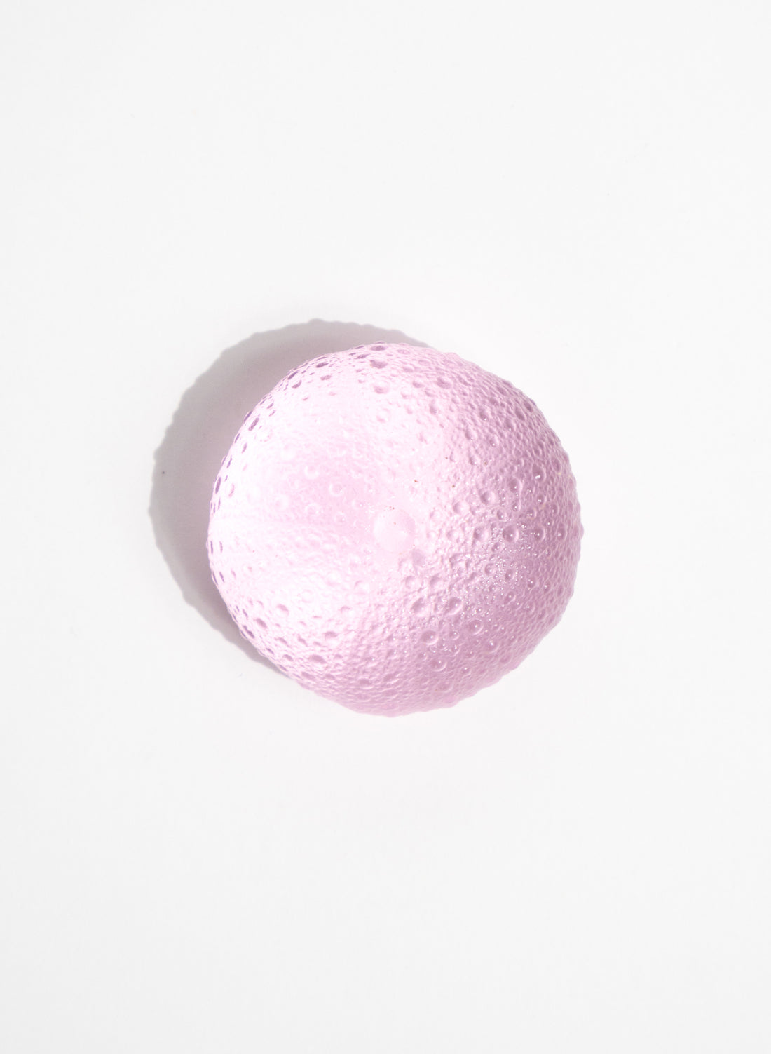 Medium Sea Urchin - Pink
