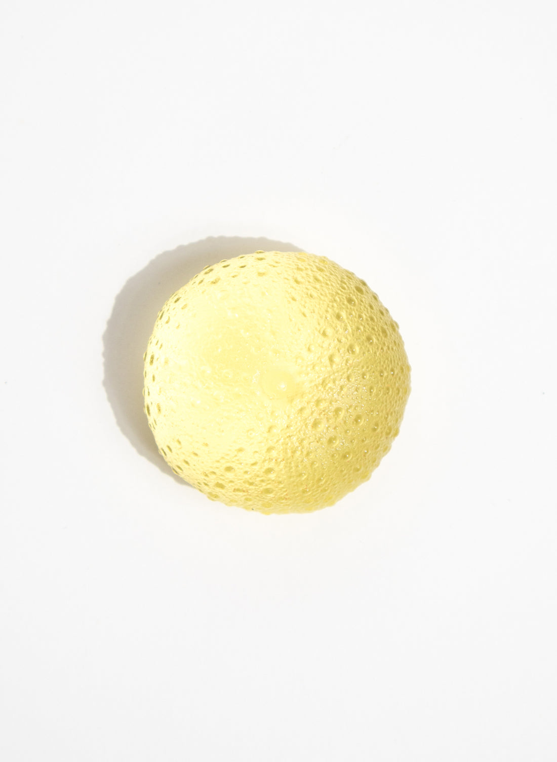 Large Sea Urchin - Yellow