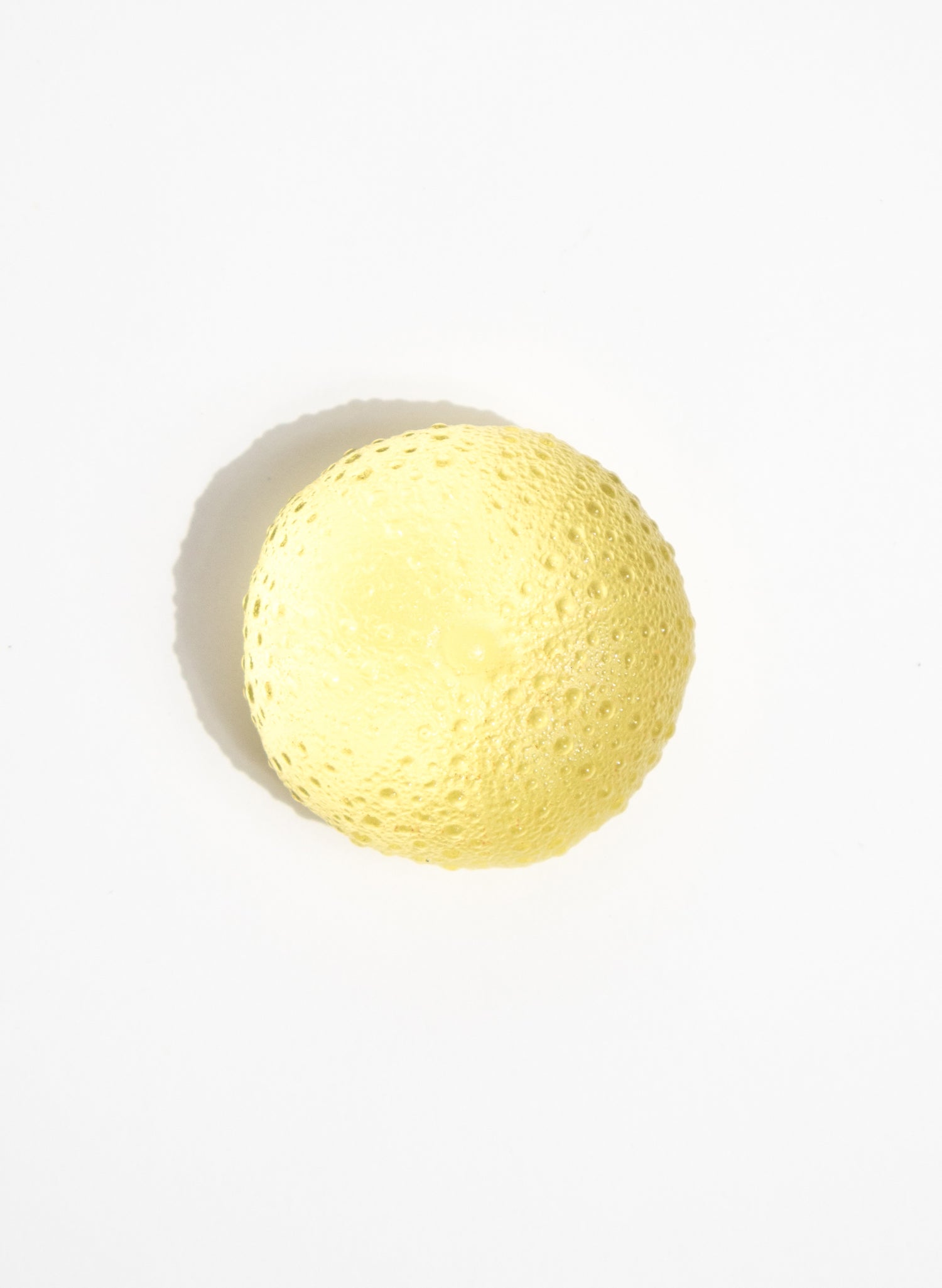 Large Sea Urchin - Yellow