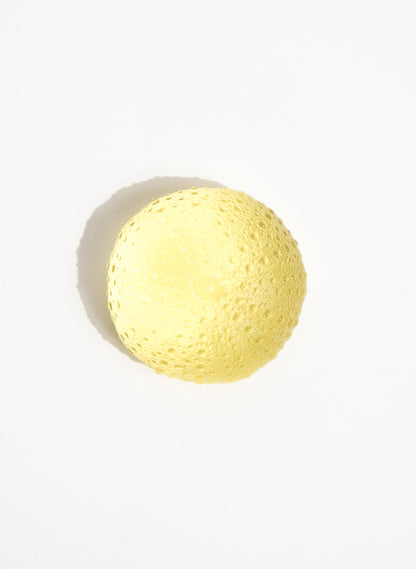 Large Sea Urchin - Yellow