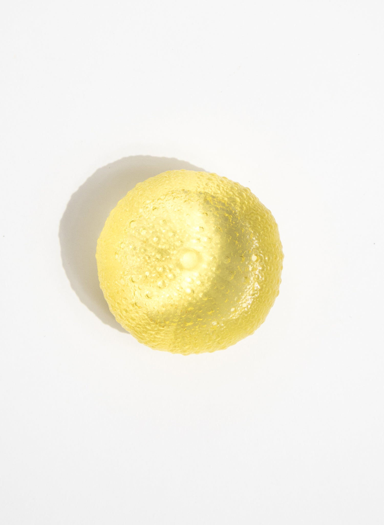 Large Sea Urchin - Yellow