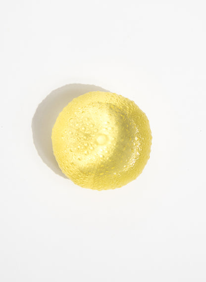 Large Sea Urchin - Yellow