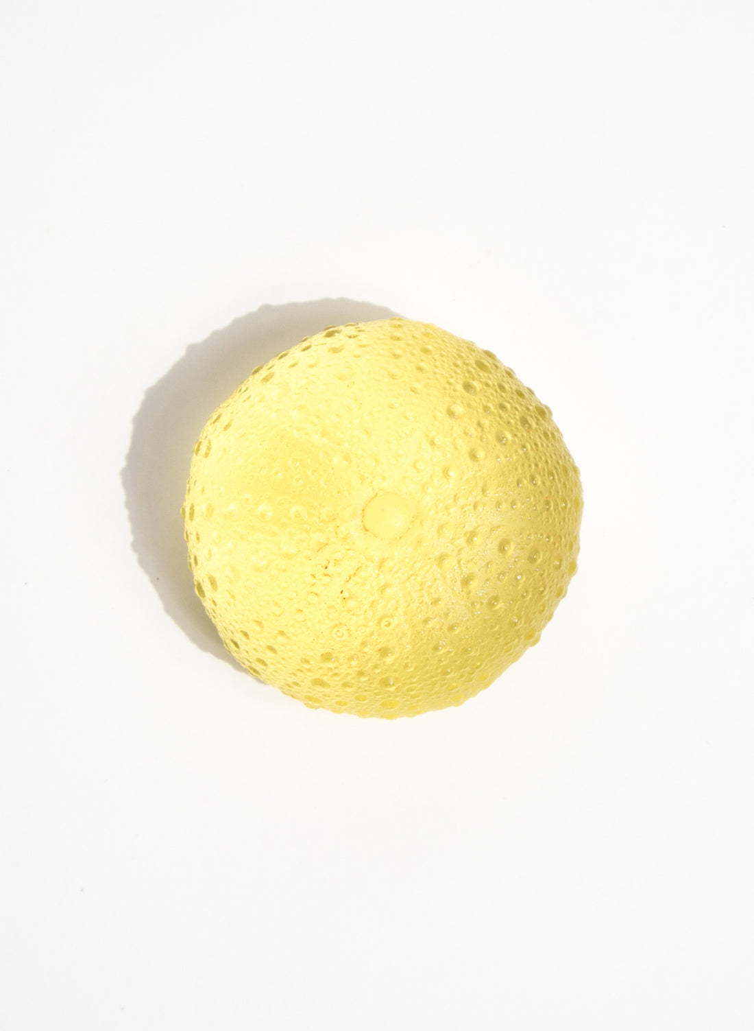 Medium Sea Urchin - Yellow