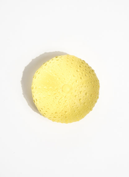 Medium Sea Urchin - Yellow