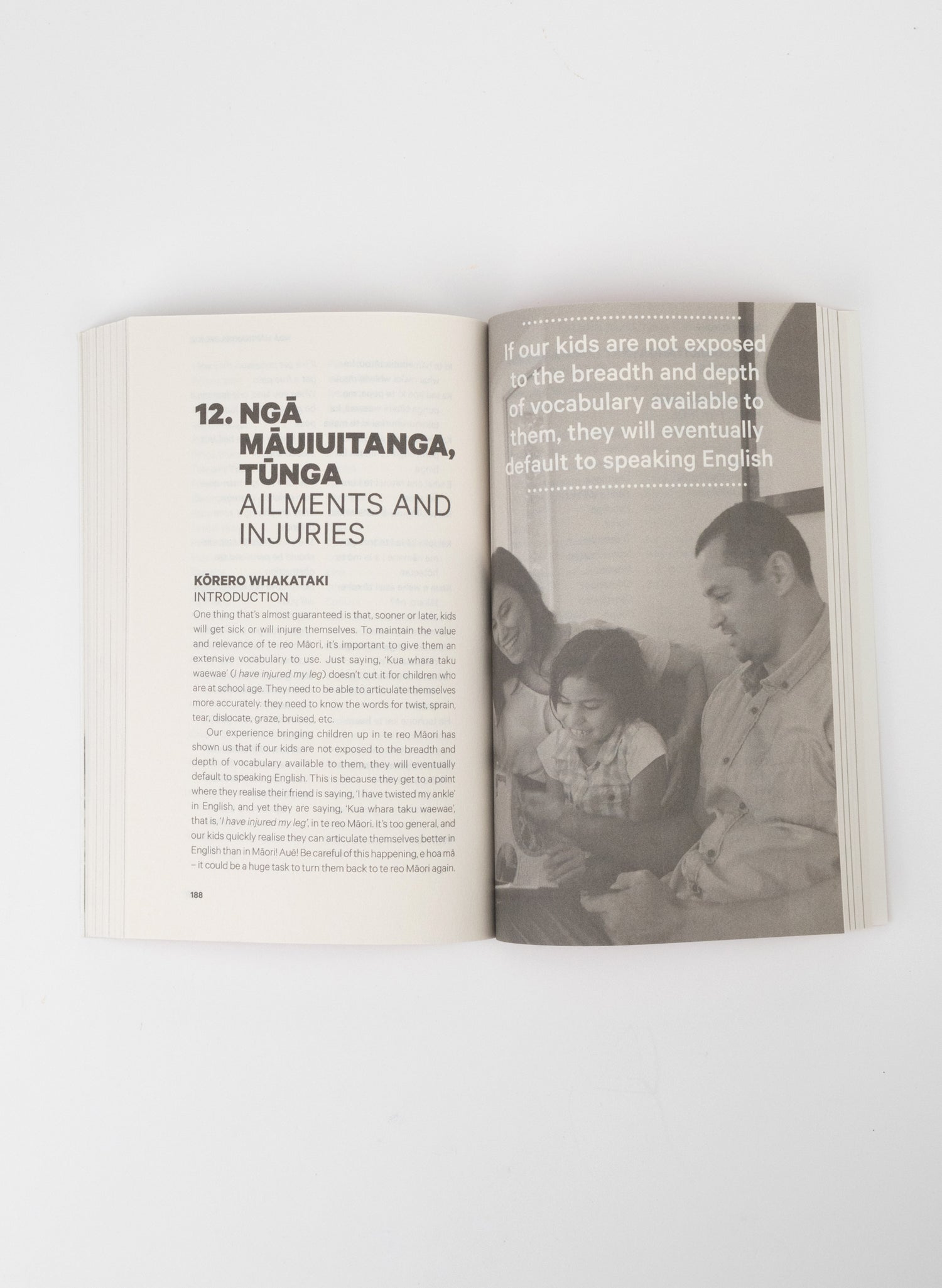Māori at Home by Stacey and Scotty Morrison
