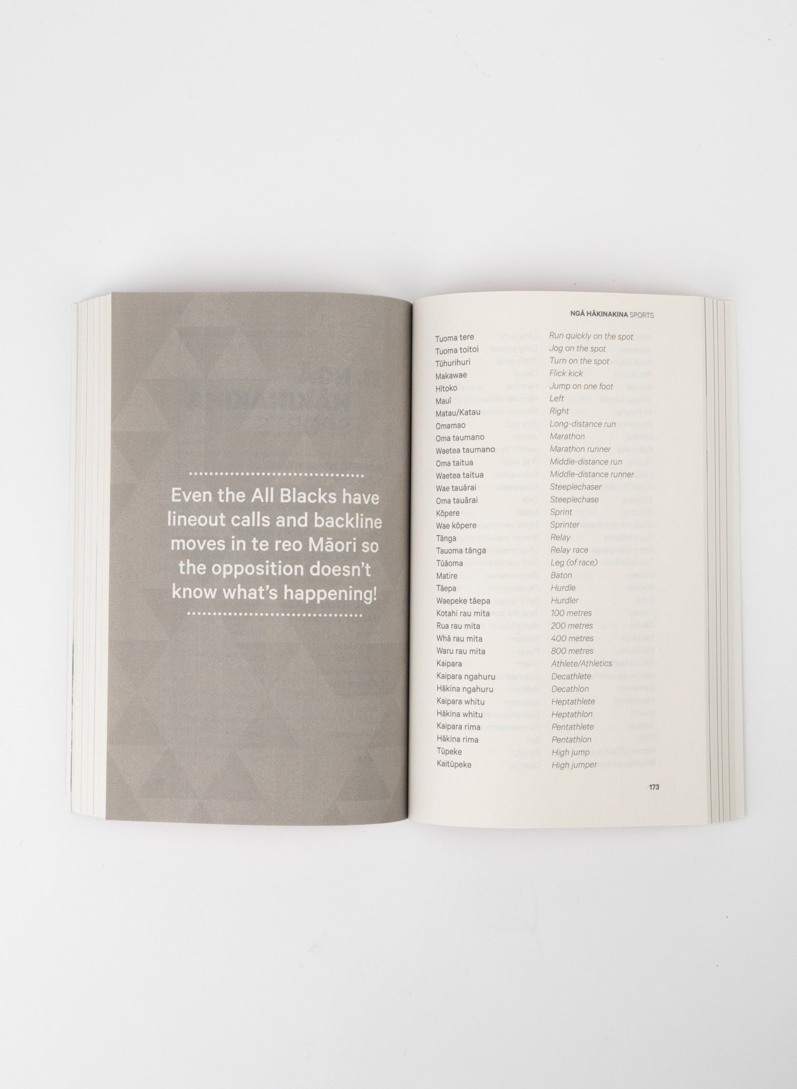 Māori at Home by Stacey and Scotty Morrison