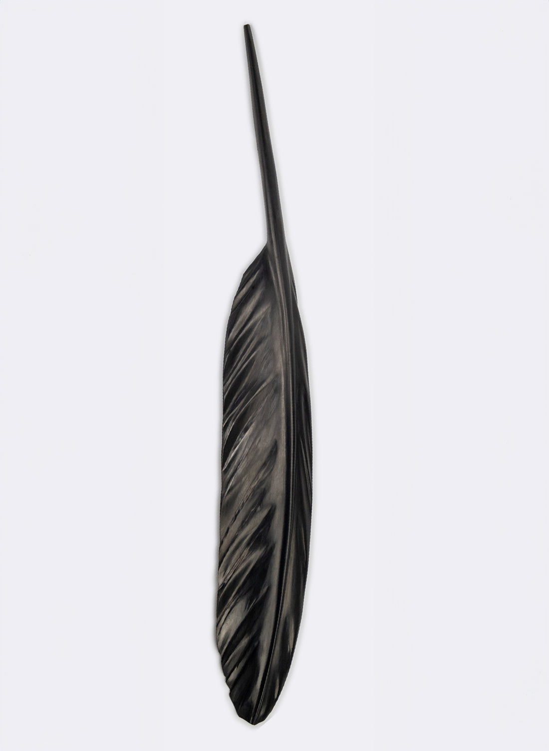 Tui Feather 1025mm - Black Swamp Kauri