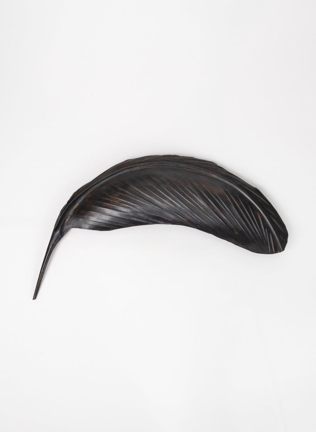Tui Copper Feather 390mm