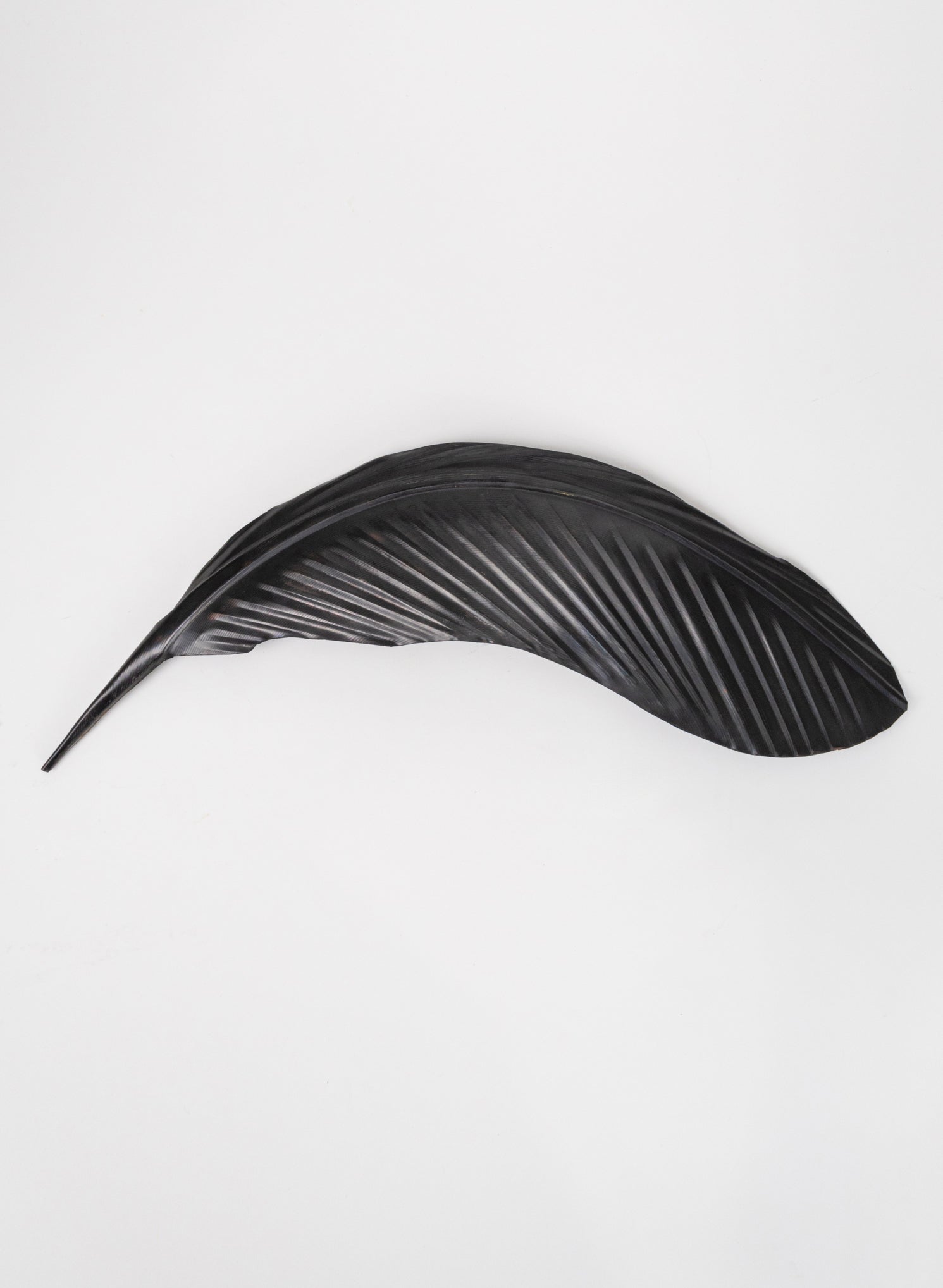Tui Copper Feather 430mm