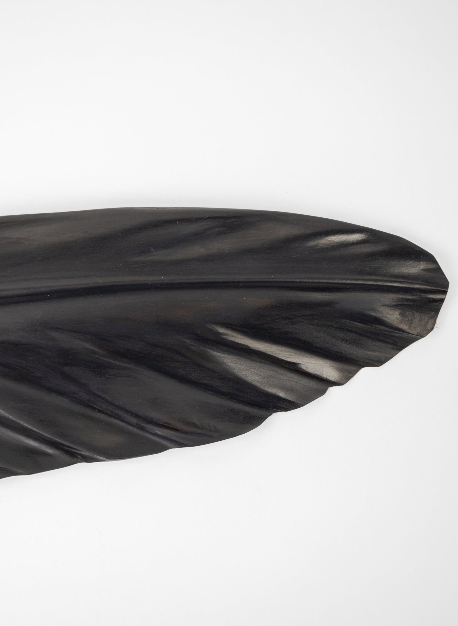 Tui Feather 1025mm - Black Swamp Kauri