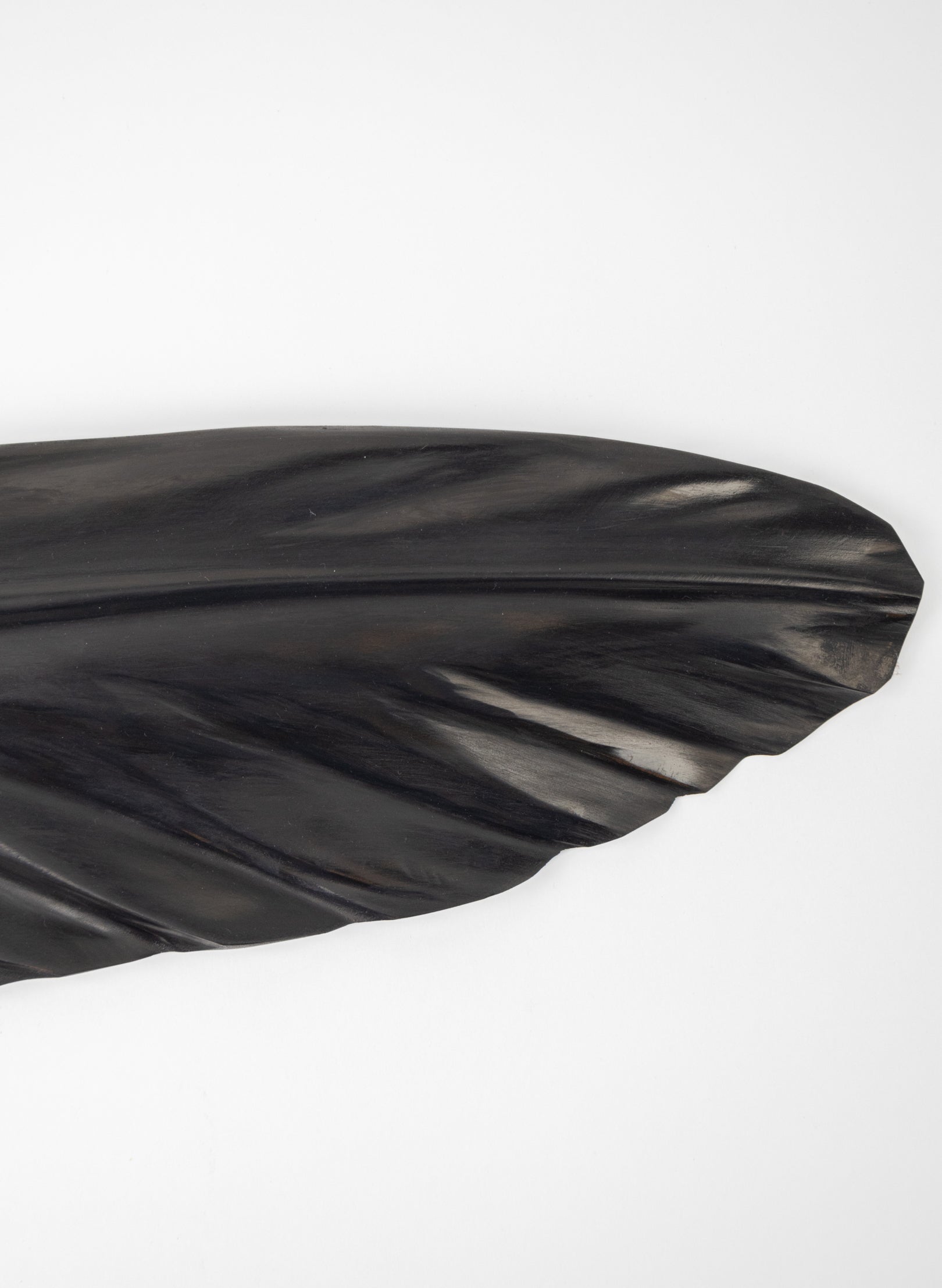 Tui Feather 1025mm - Black Swamp Kauri