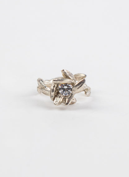Rice Plant Ring