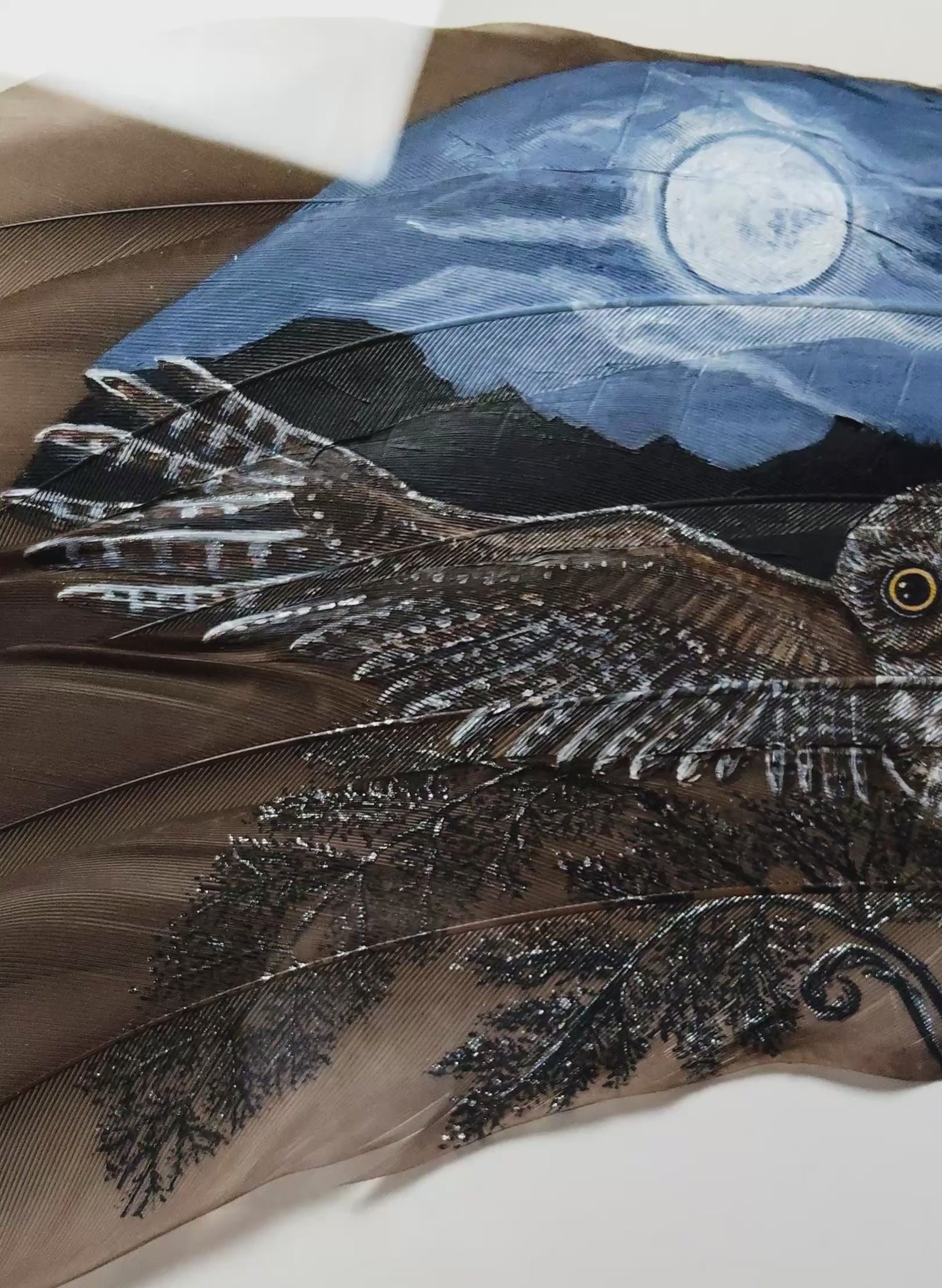 Moonlit Flight Morepork Ruru - Framed