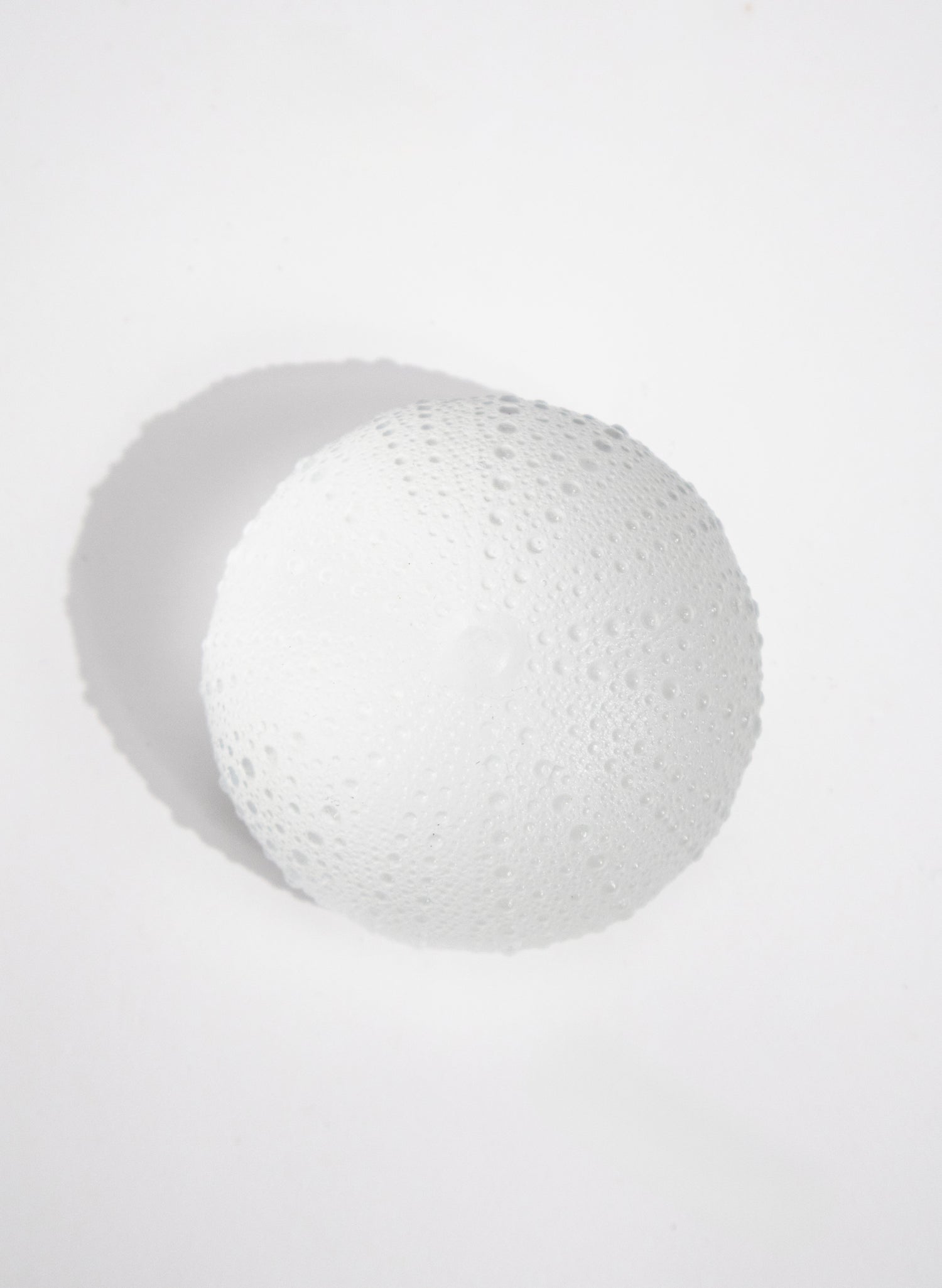 XXLarge Sea Urchin - Clear