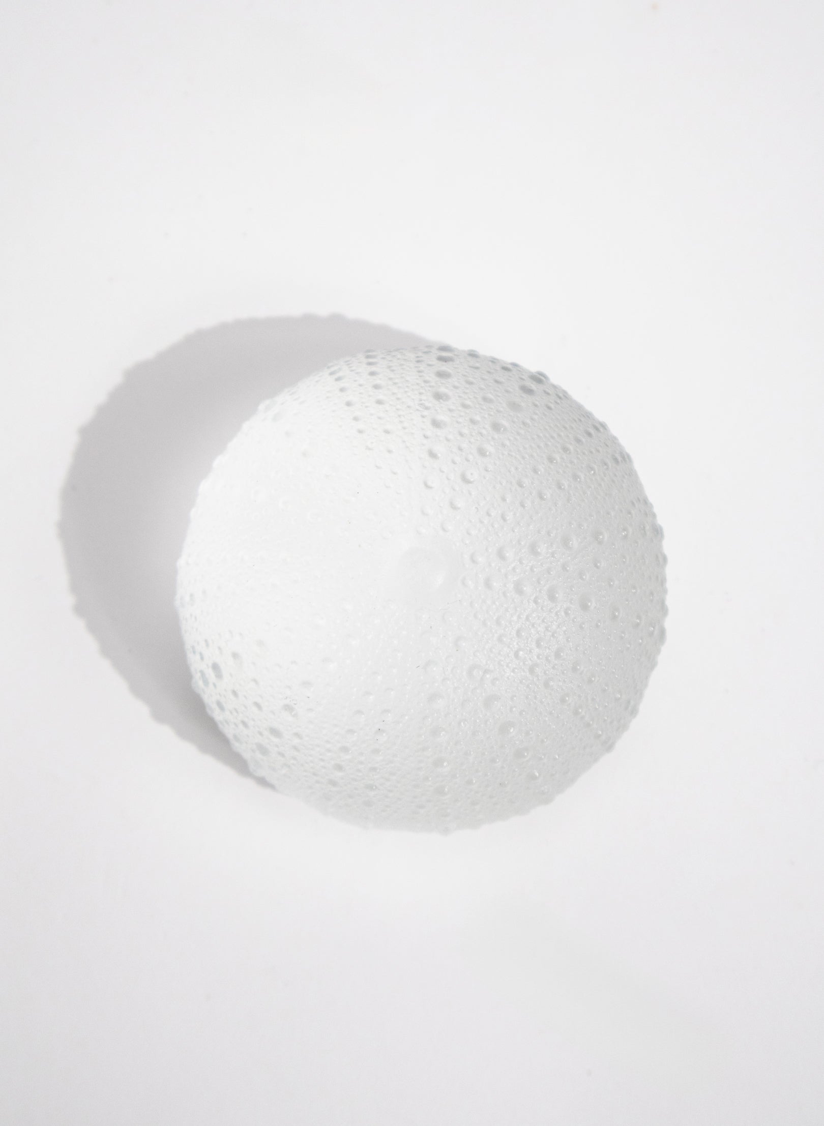 XXLarge Sea Urchin - Clear
