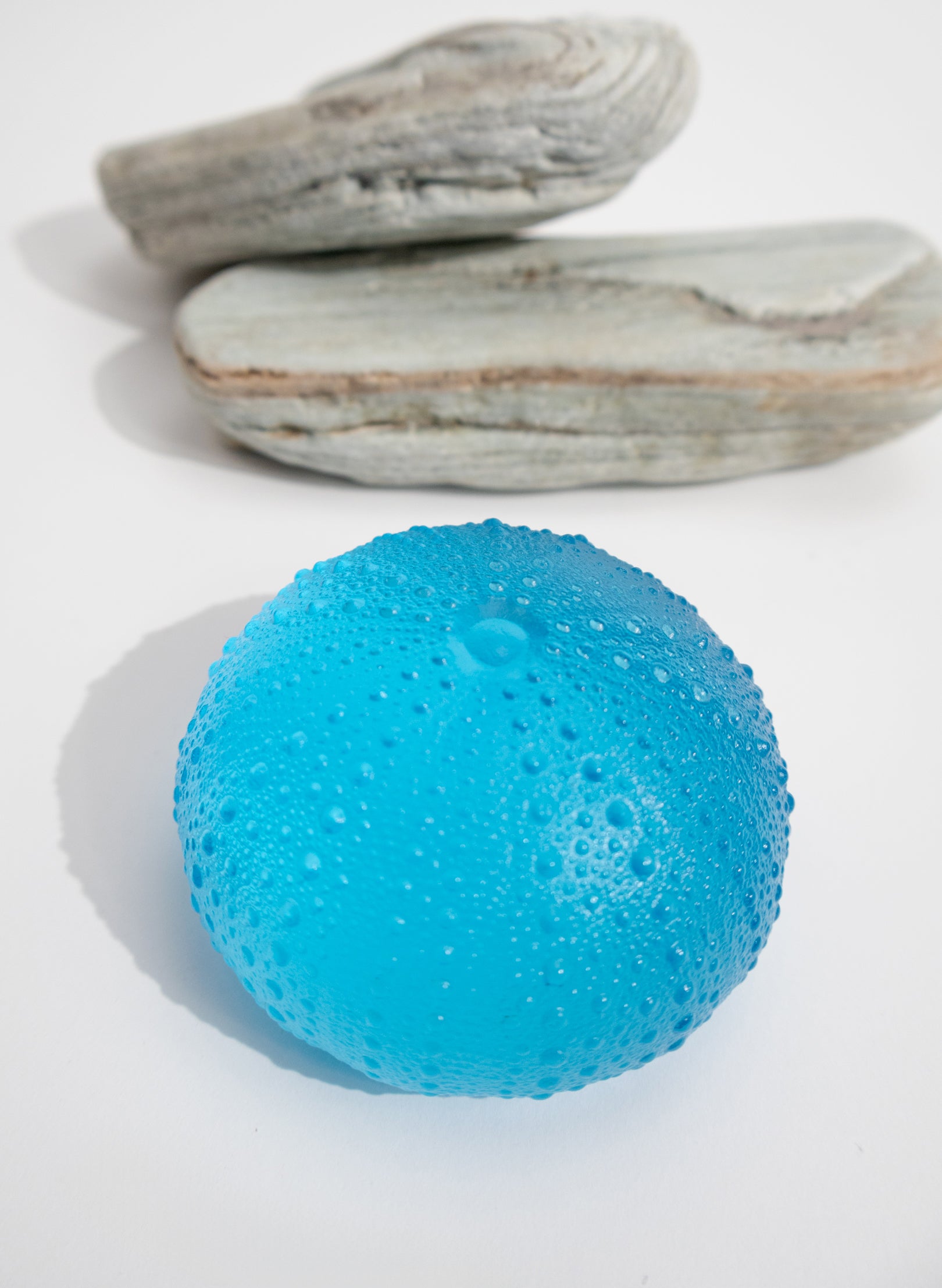 XXLarge Sea Urchin - Copper Blue