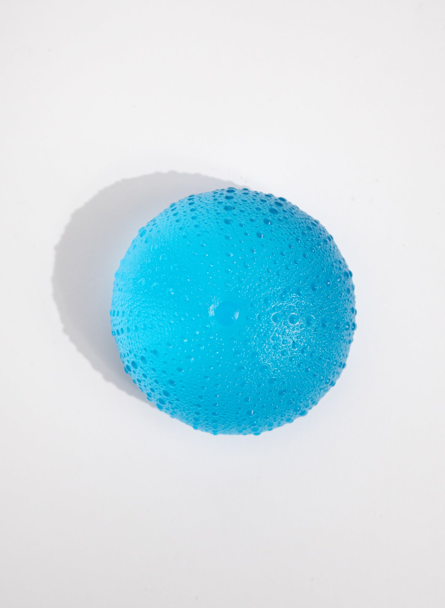 XXLarge Sea Urchin - Copper Blue